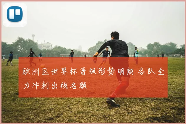 欧洲区世界杯晋级形势明朗 各队全力冲刺出线名额